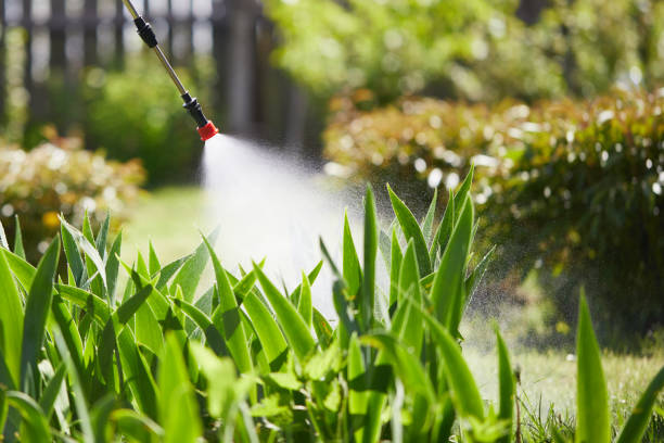 24/7 Emergency Mosquito Control experts in Kahaluu-Keauhou, HI