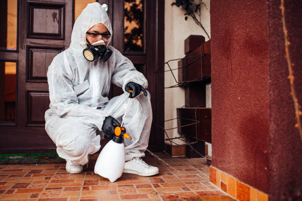 Reliable Mosquito Control contractor in Kahaluu-Keauhou, HI by Nex Pest Control