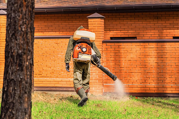 Trusted Emergency Pest Control service in Kahaluu-Keauhou, HI - Nex Pest Control
